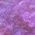 Color Swatch - Purple