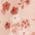 Color Swatch - Pink