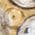 Color Swatch - Gold