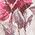 Color Swatch - Floral