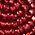 Color Swatch - Red