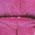 Color Swatch - Pink