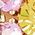 Color Swatch - Pink