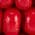 Color Swatch - Red