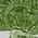 Color Swatch - Green