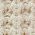 Color Swatch - Ivory