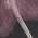 Color Swatch - Purple