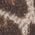 Color Swatch - Animal