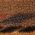 Color Swatch - Brown
