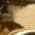 Color Swatch - Gold