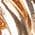 Color Swatch - Gold