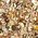 Color Swatch - Gold