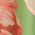 Color Swatch - Green