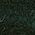 Color Swatch - Dark Green