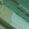 Color Swatch - Light Green
