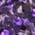 Color Swatch - Purple