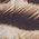 Color Swatch - Animal