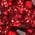Color Swatch - Santorini Red