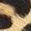 Color Swatch - Animal