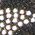 Color Swatch - Black