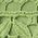 Color Swatch - Green
