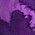 Color Swatch - Purple