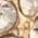 Color Swatch - Gold