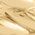 Color Swatch - Gold