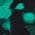 Color Swatch - Green