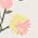 Color Swatch - Wildflower