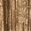 Color Swatch - Gold