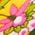 Color Swatch - Yellow