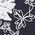 Color Swatch - Navy/White