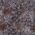Color Swatch - Dark Blues