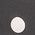 Color Swatch - Black/White