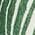 Color Swatch - Green