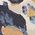 Color Swatch - Animal