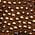Color Swatch - Brown