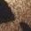Color Swatch - Brown/Black