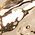 Color Swatch - Gold
