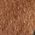 Color Swatch - Leopard