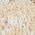 Color Swatch - Tan