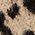 Color Swatch - Animal