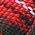 Color Swatch - Red