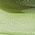 Color Swatch - Green