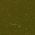 Color Swatch - Green