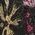 Color Swatch - Floral
