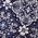 Color Swatch - Blue