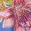 Color Swatch - Floral
