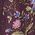 Color Swatch - Purple